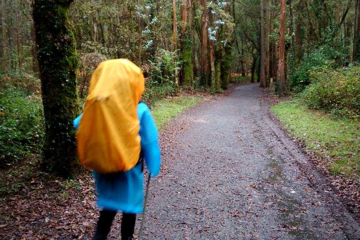Walking the Camino alone: is it safe, and is it better?