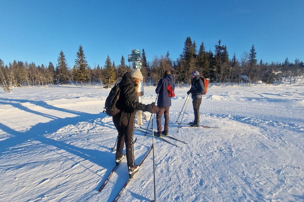 All About Cross-Country Skiing: A Beginner's Guide