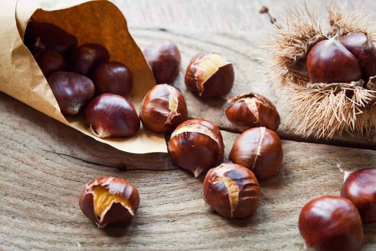 Boiled Chestnuts on the Camino