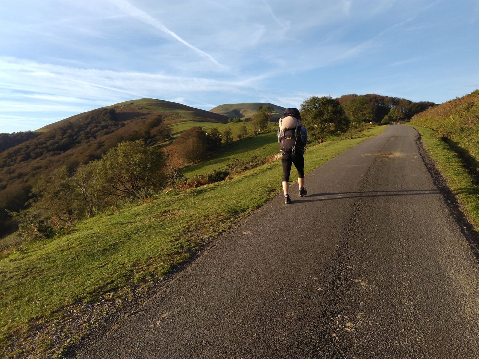 Walking the Camino Francés